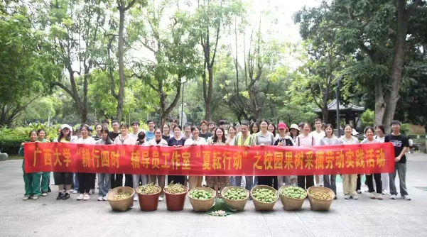 企业微信截图_17518779251920.png