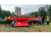 春风十里，正“植”有你 | 科丽特开展植树节系列活动